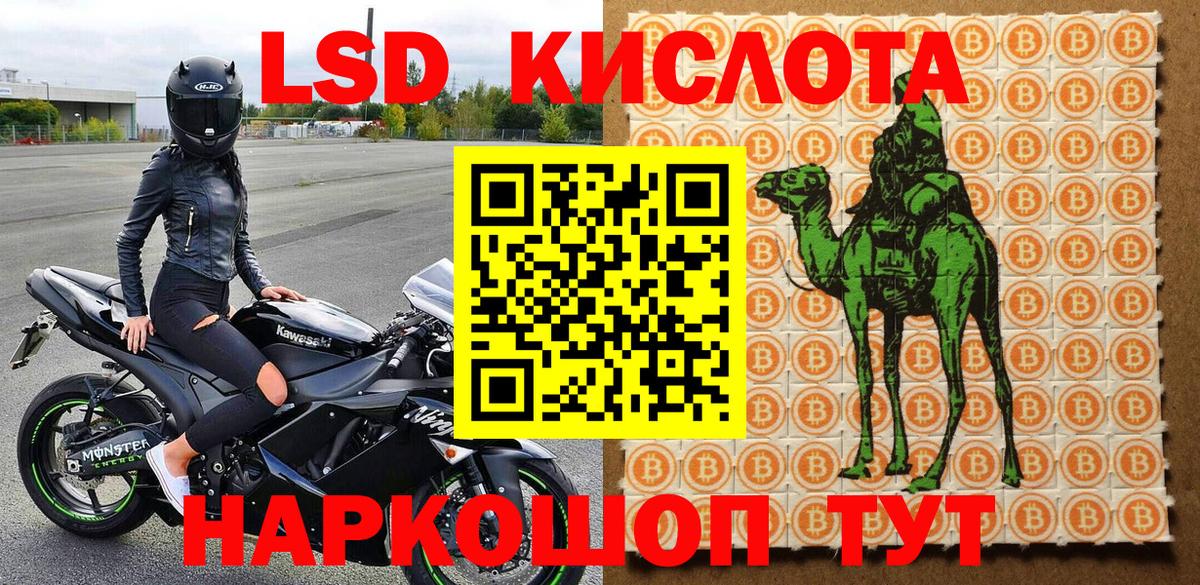 Видное  Наркотические марки  Вход с VPN  Марки 25I-NBOMe 1500мкг  Марки 25I-NBOMe 1500мкг 